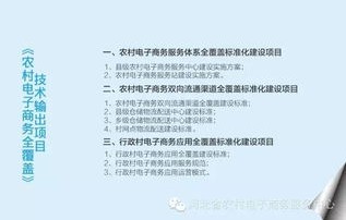 河北电子商务接本专业书
