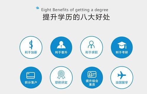 电子商务是大专的热门专业吗