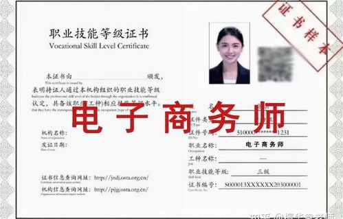 电子商务专业药师资格