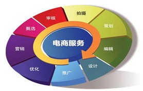 对电子商务的专业认知度