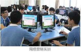 电子商务是学什么的专业