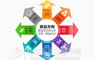 电子商务专业可开公共课
