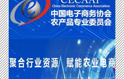 中国电子商务专业好不好