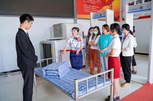 对口升学电子商务的专业课