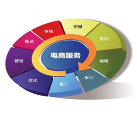 对电子商务的专业认知度